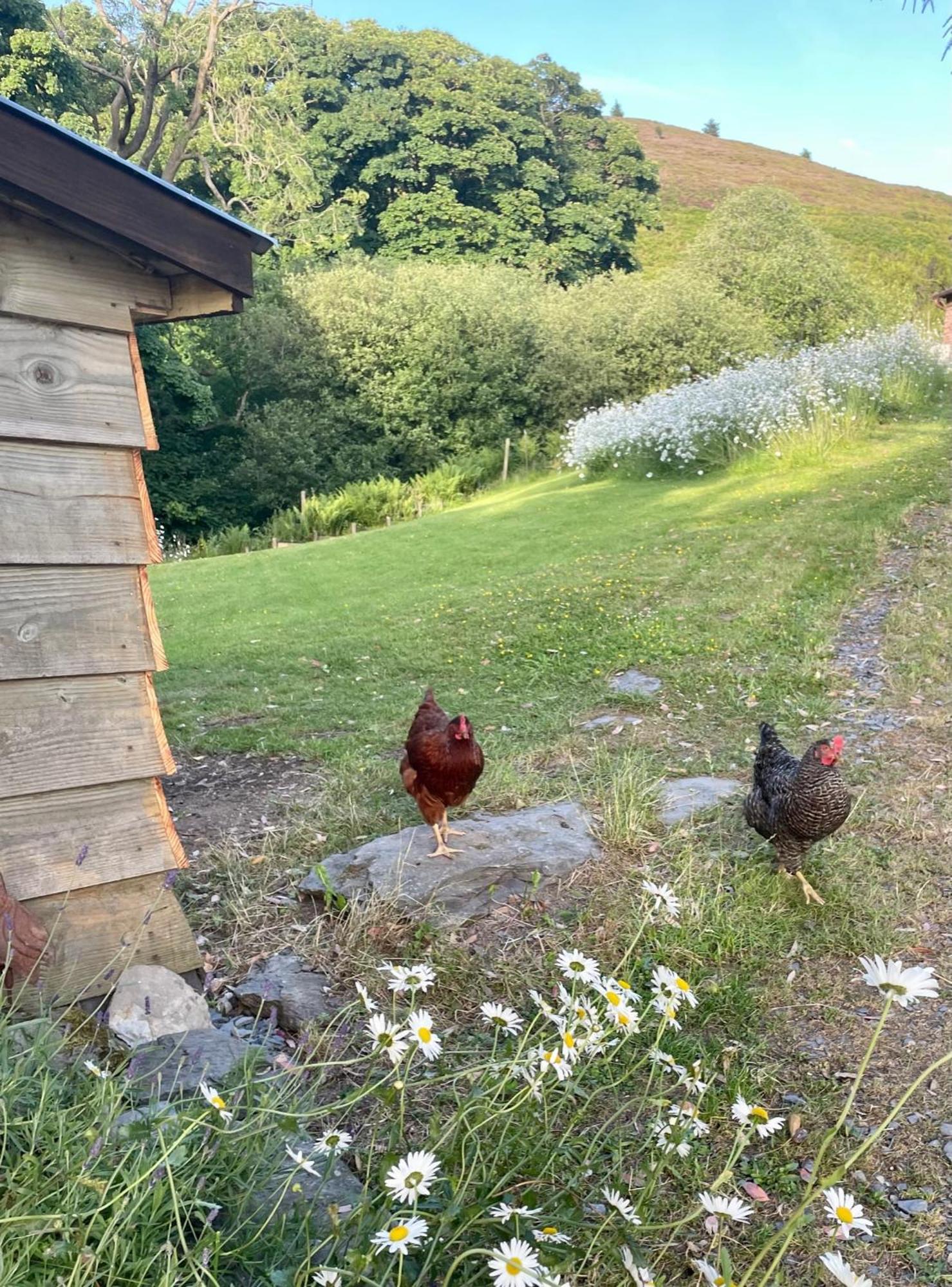 Faraway Follies Villa Llandegla Bagian luar foto
